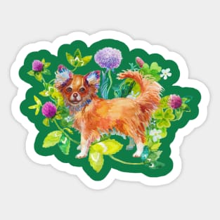 Chihuahua Sticker